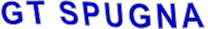 GT SPUGNA